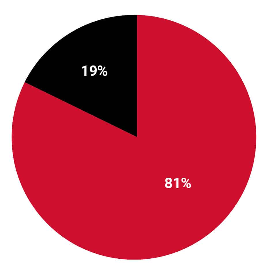Pie Chart